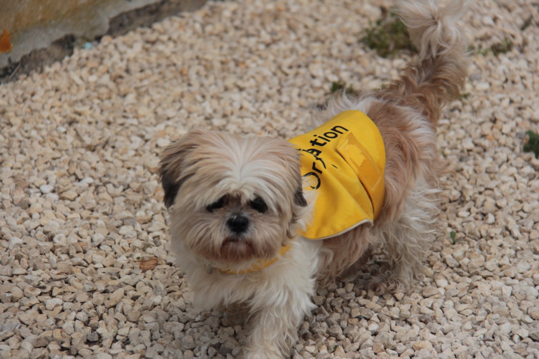 D0A47A98-9124-4A5E-B095-F7CC2041B722