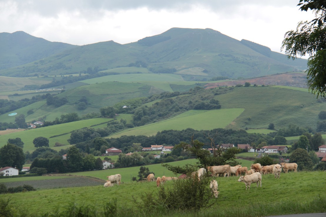 D90D8B8B-08CB-4EB5-99D5-FE6115FA402C