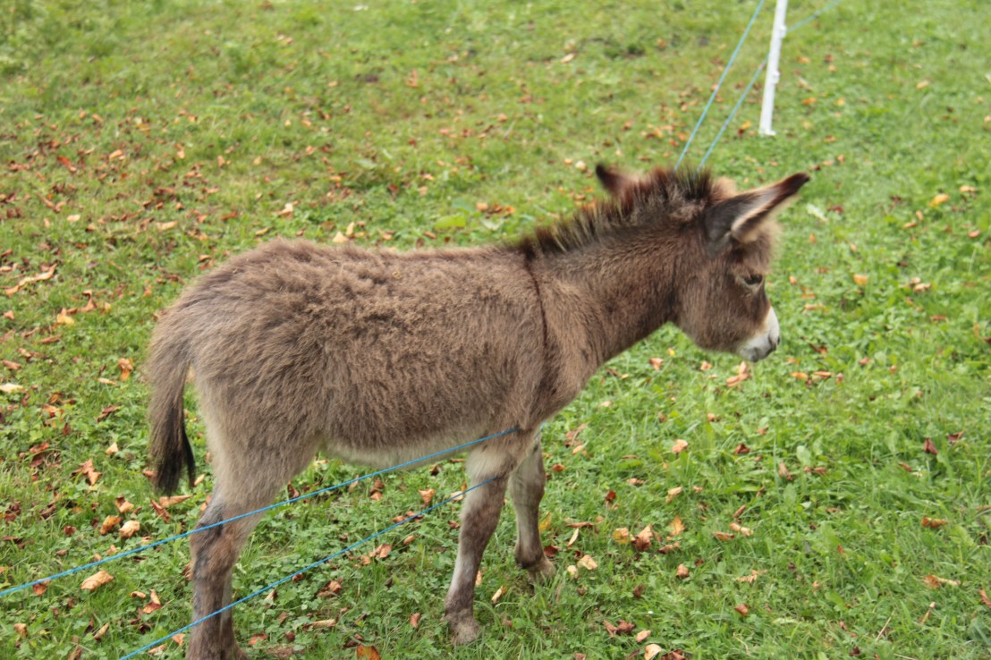 026839DC-E1AE-41EA-AF39-B61C3F04D561