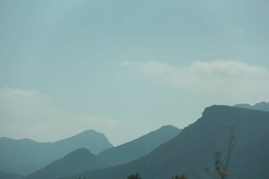 0846BF7B-8581-4E89-9208-B60925F3018B