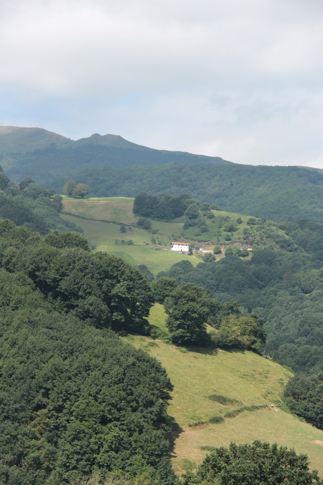 20F61842-ADF3-4FF4-9F98-233584DB850F