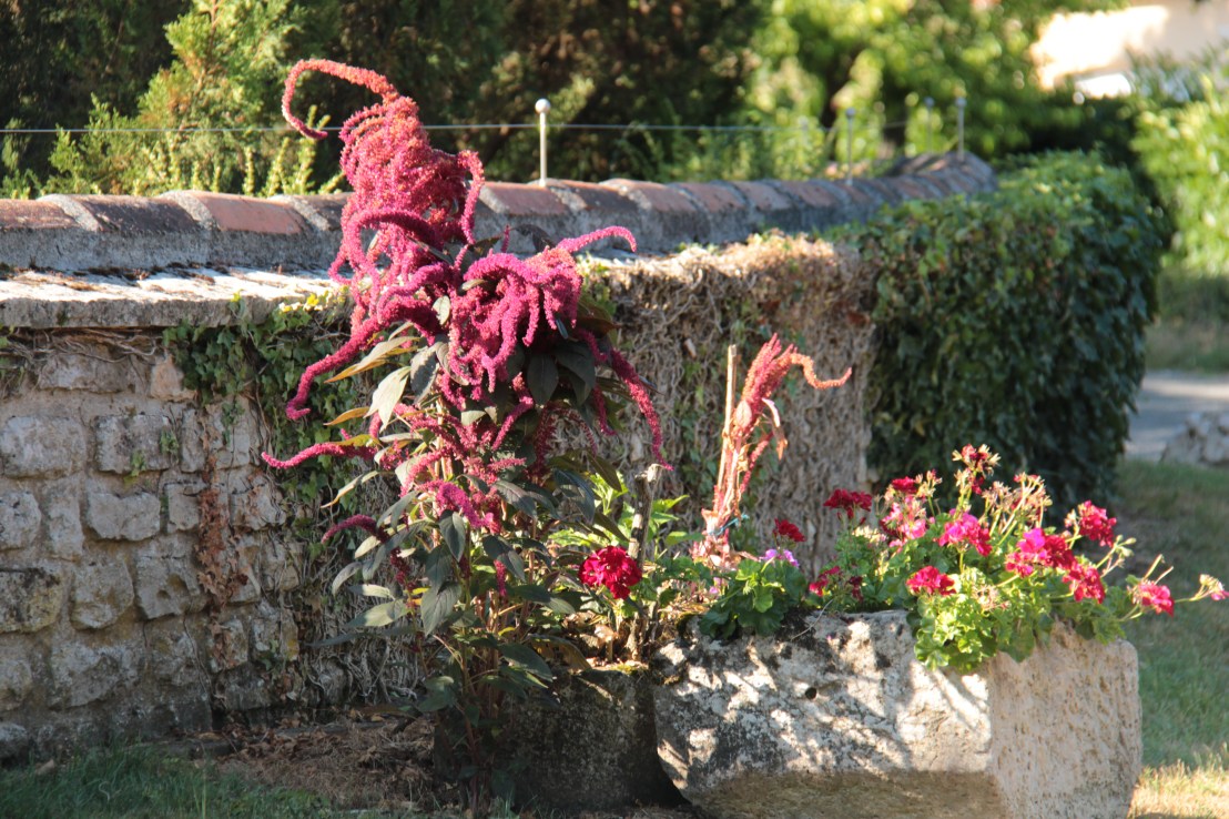 222CFCCD-68B3-40A0-974E-9414613FF71D