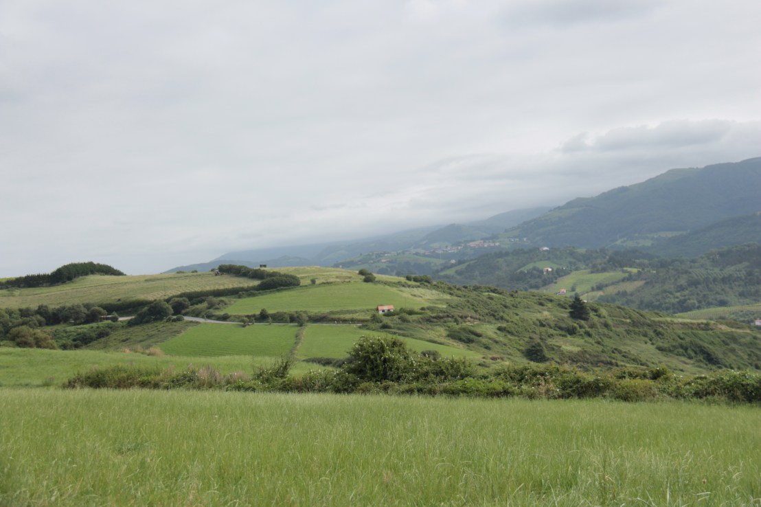 3566CC5D-8324-41C5-B8E2-AEC2D4C379E4