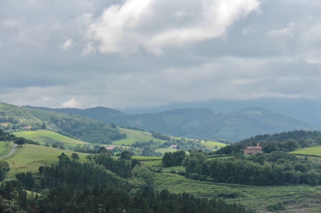 3E5F30D9-5A9B-42A9-8317-2C6293DEF93C