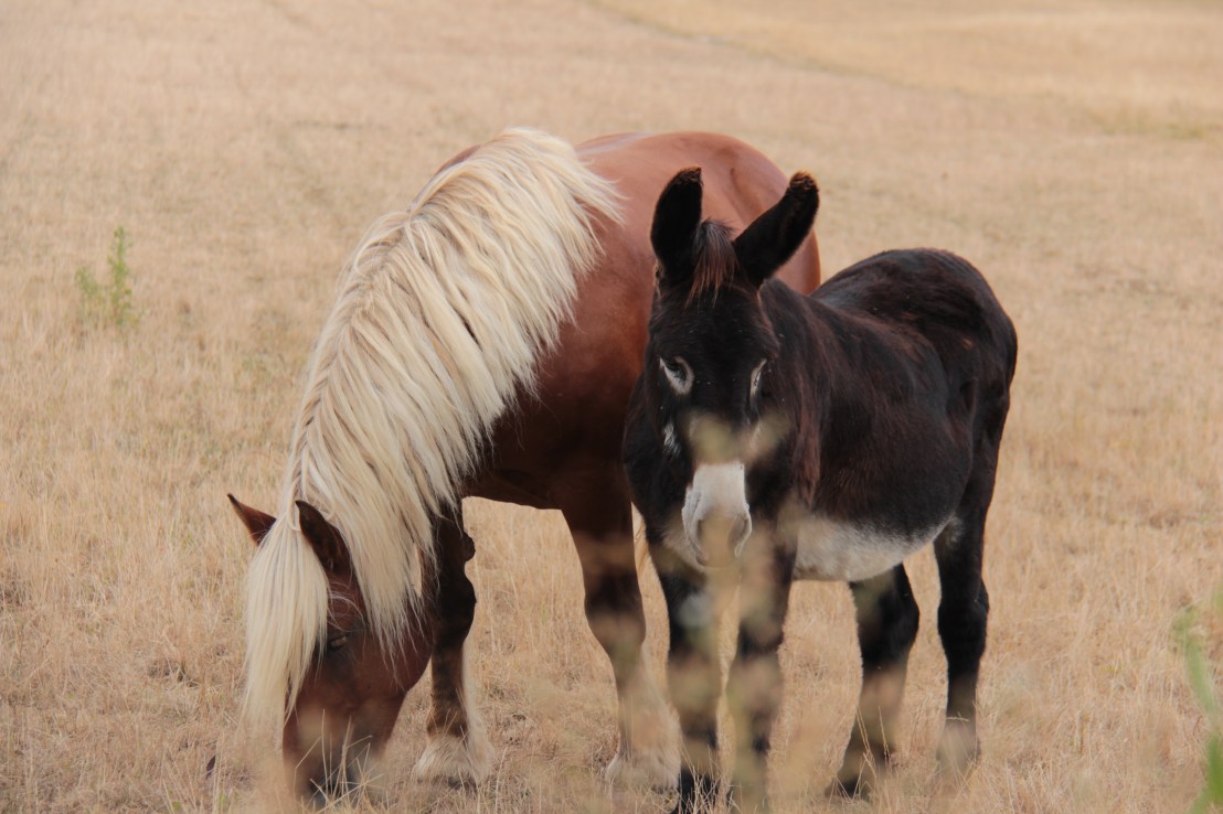 5DB27D73-CCA4-494B-9BBA-7C4C6991776D