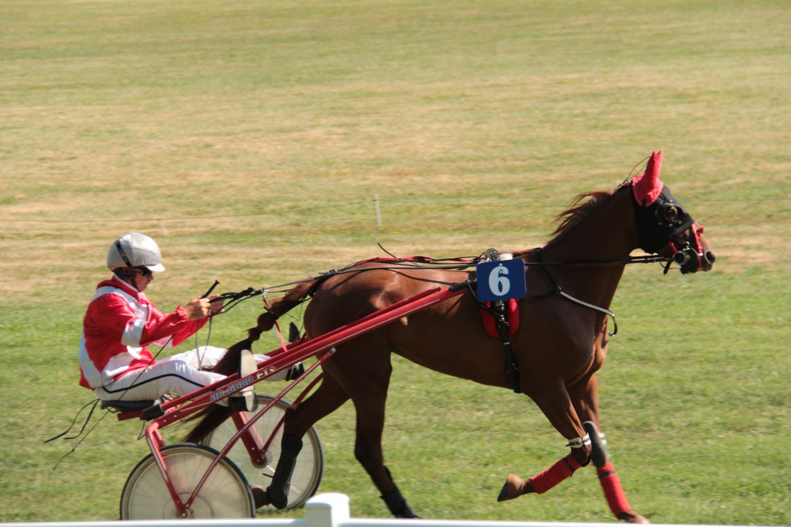 60F131D0-6C0E-48A0-8287-254F41A74BC9