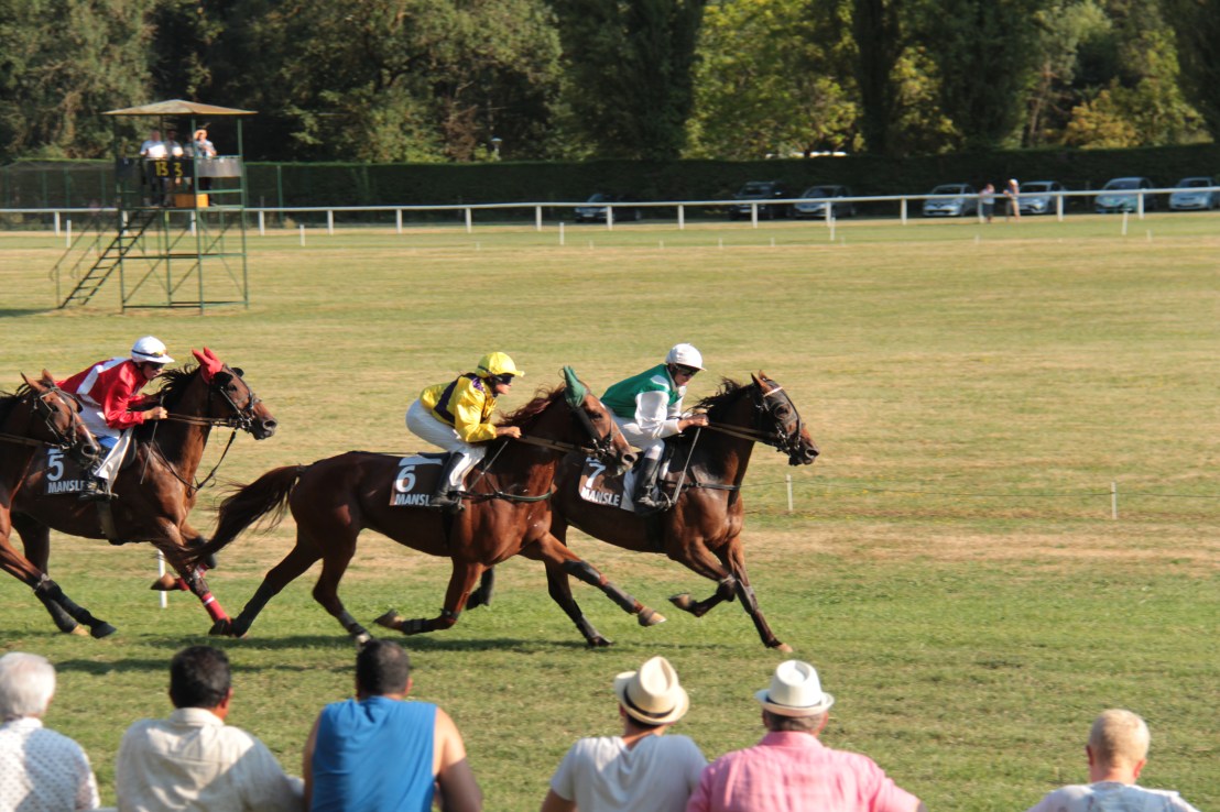 6F5AEFCE-D203-4FA6-B2CE-03E0FAFEC087