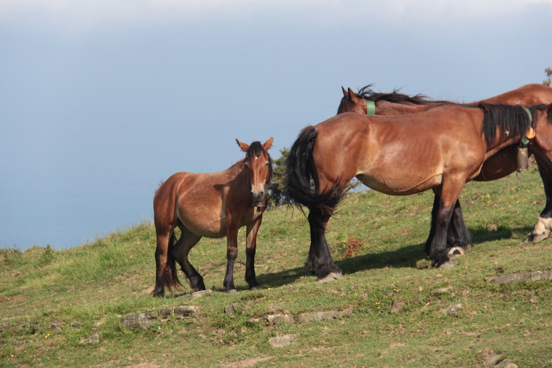 85D3389F-1A0B-42DE-8636-93FC31AE740A