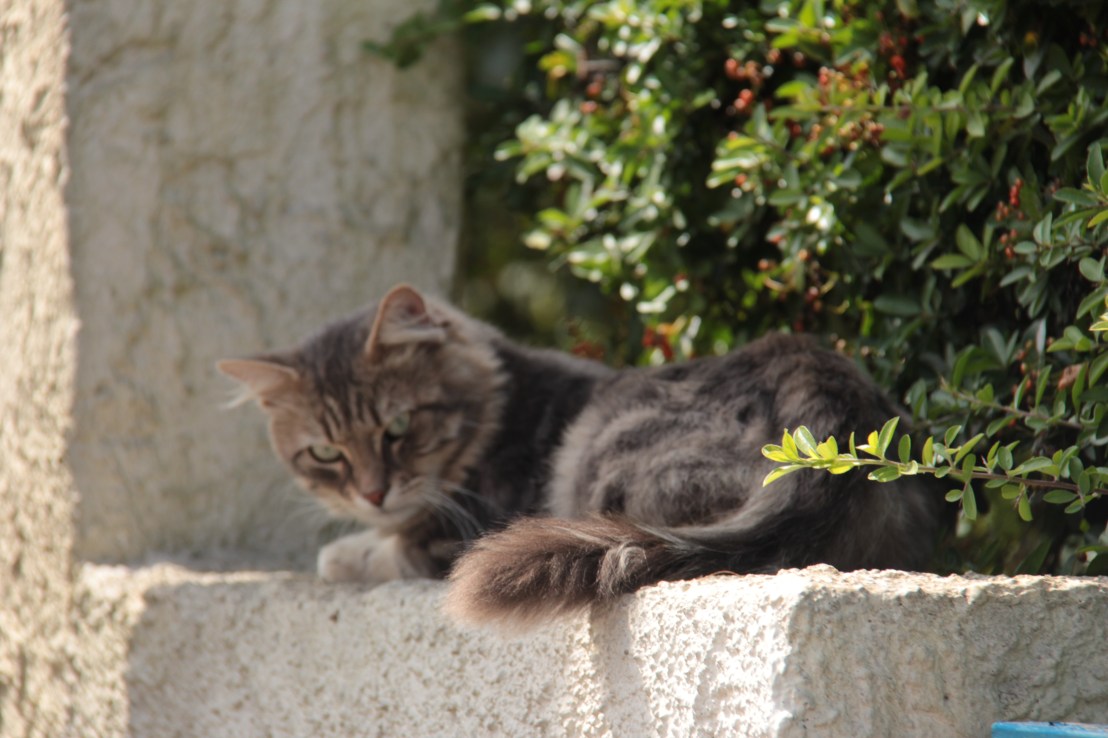 98C4A0C6-D694-482C-96CB-45A45DFAC453