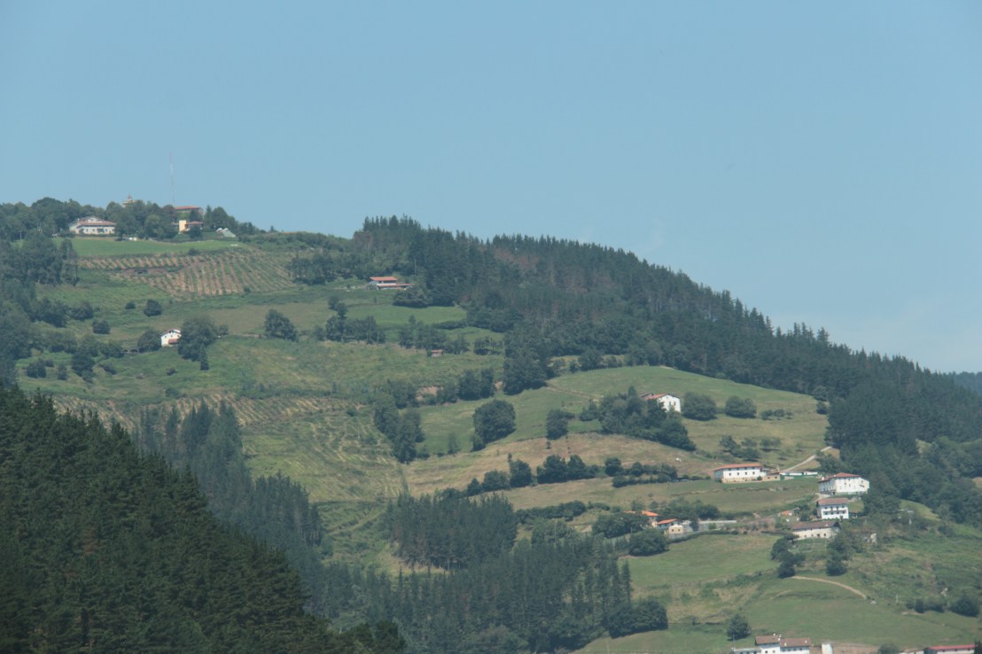 9AC558C2-3696-4E25-B323-50661B77B4A7