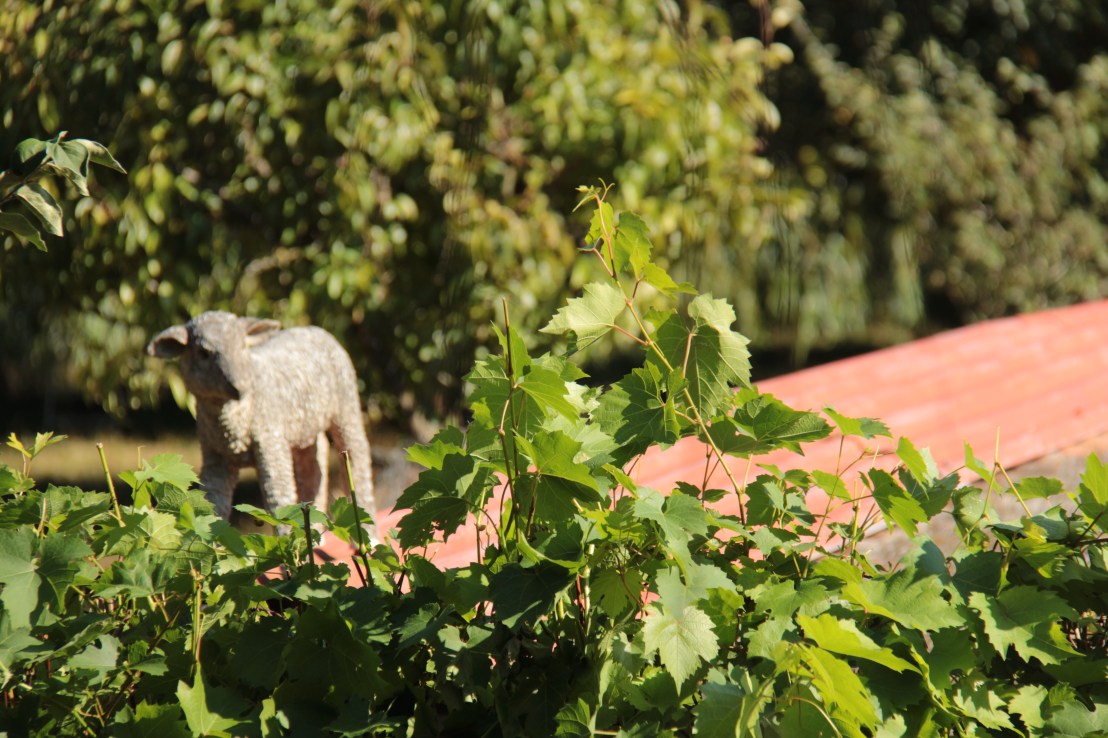 A5097C2E-0DD6-4DF5-926F-280DB41435F2