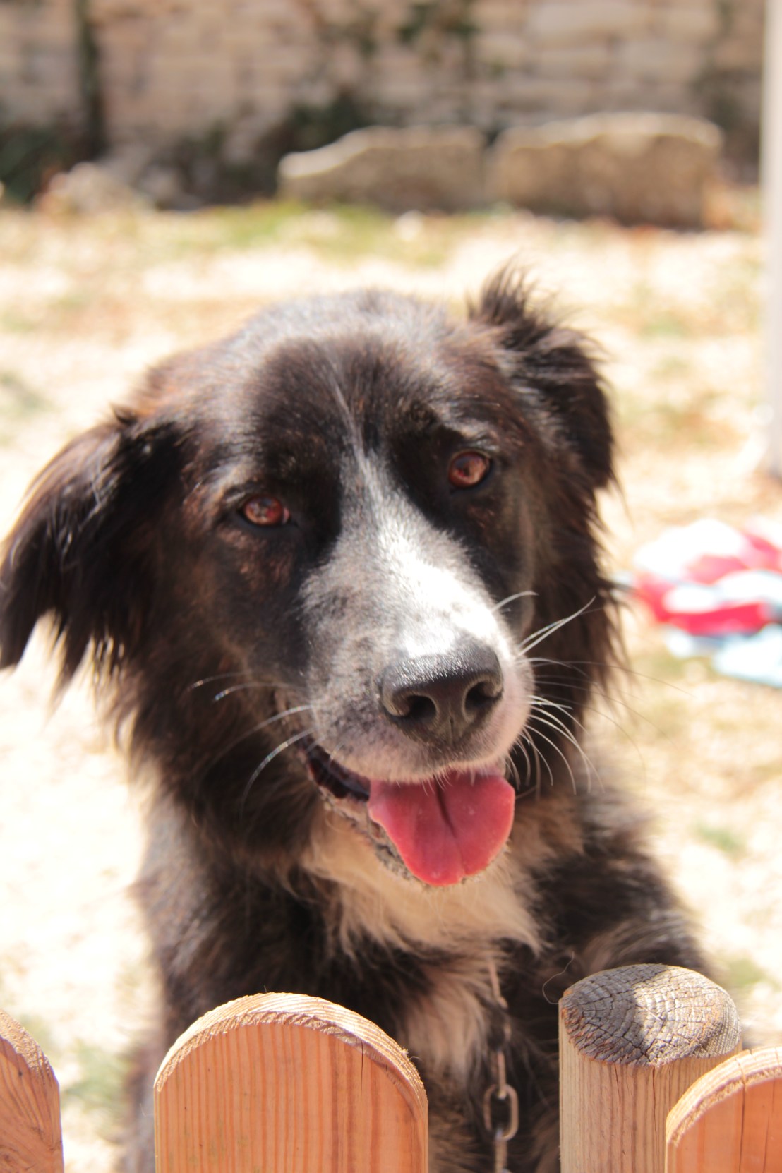 B5960F08-5B8C-417F-AE3D-6B582257CF86