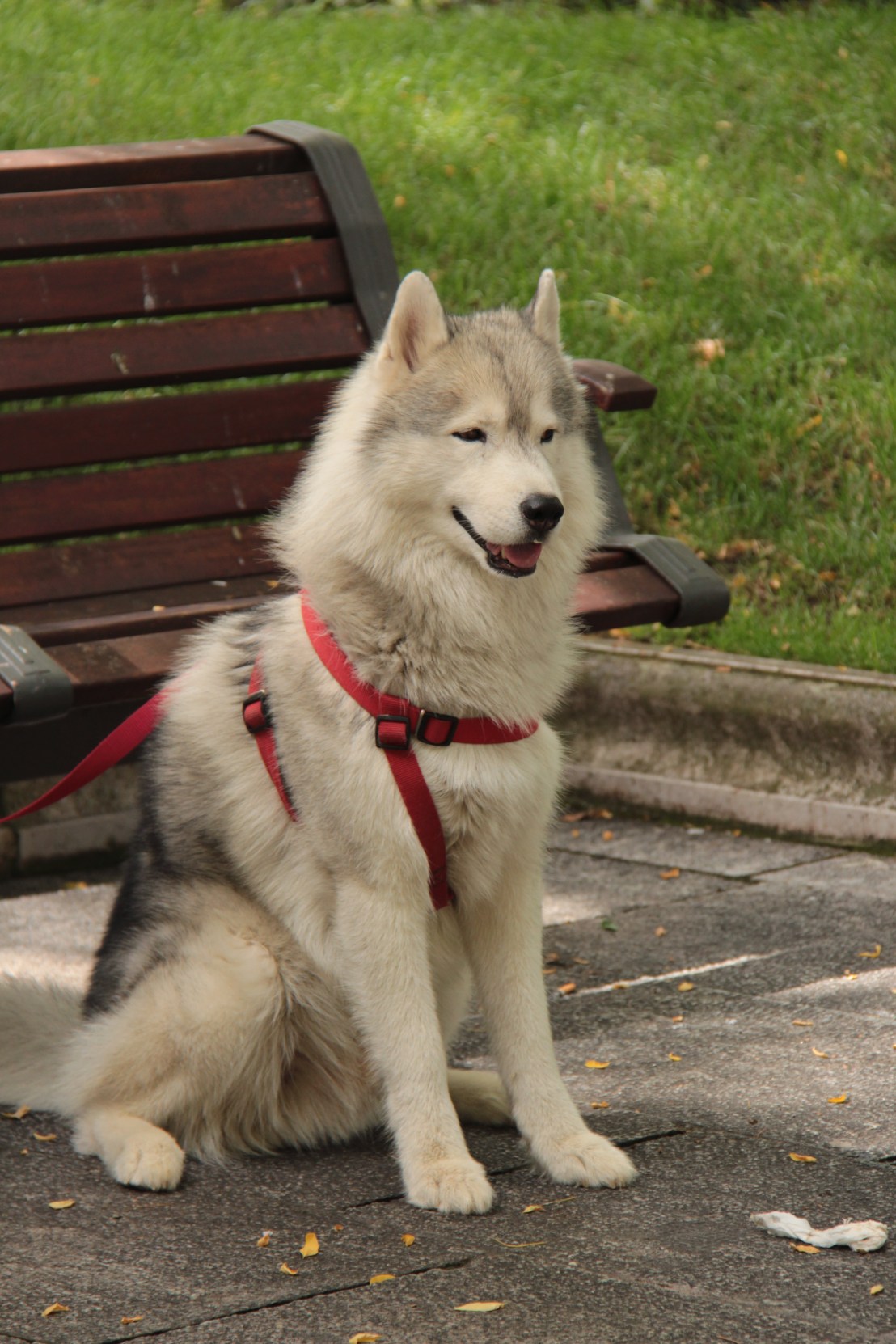 CD67B759-C645-4741-ACC6-3EEF2B613148