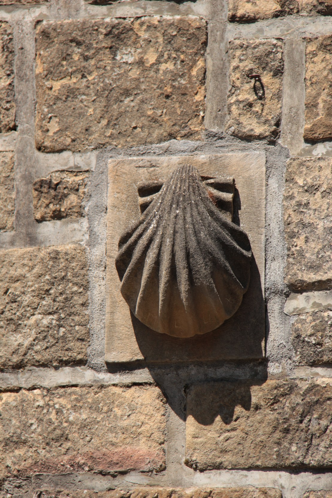 CFD0F546-495D-41F6-BE0E-E1E3778995C8