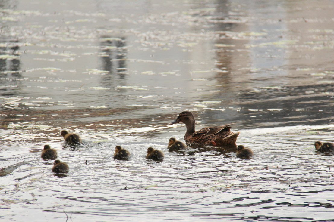 D5E7E525-2D10-46CC-B59D-03344345C1E1