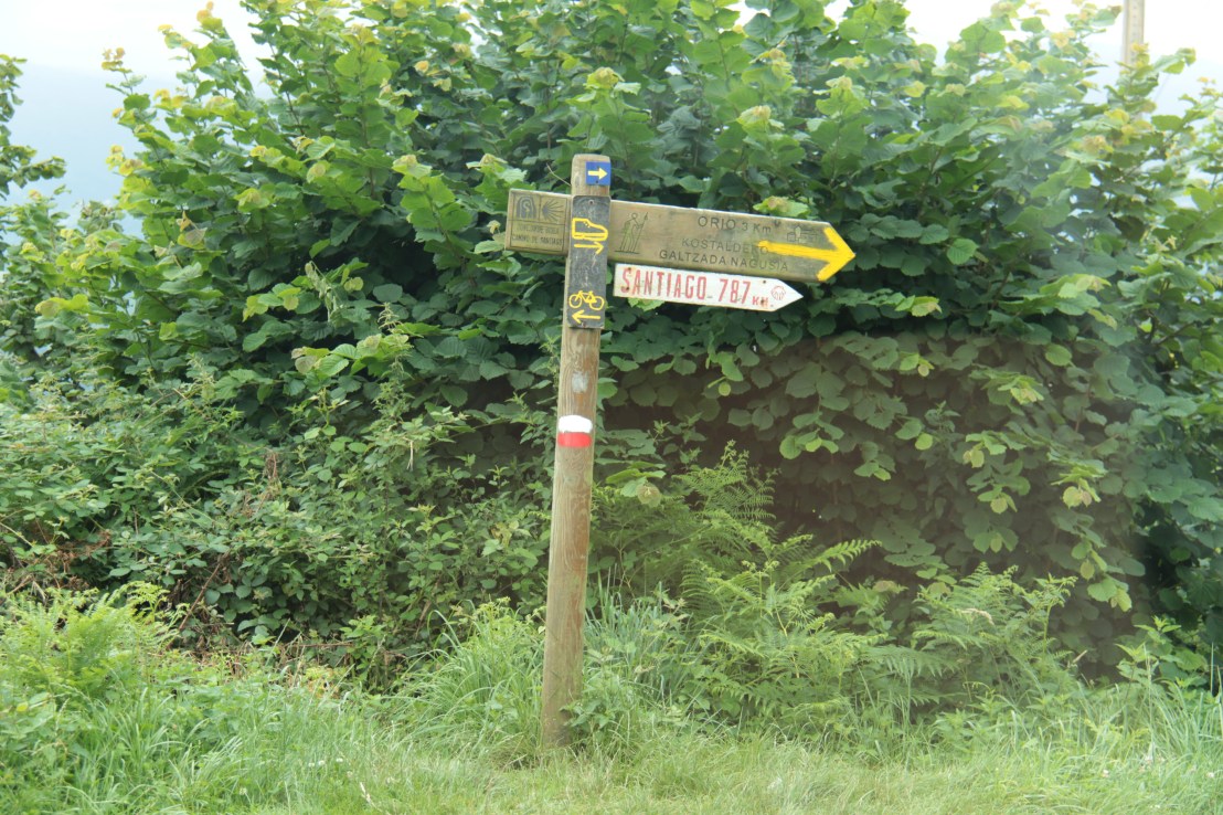 E5C645EE-3023-4A5B-BC15-E7E82ED16E3B