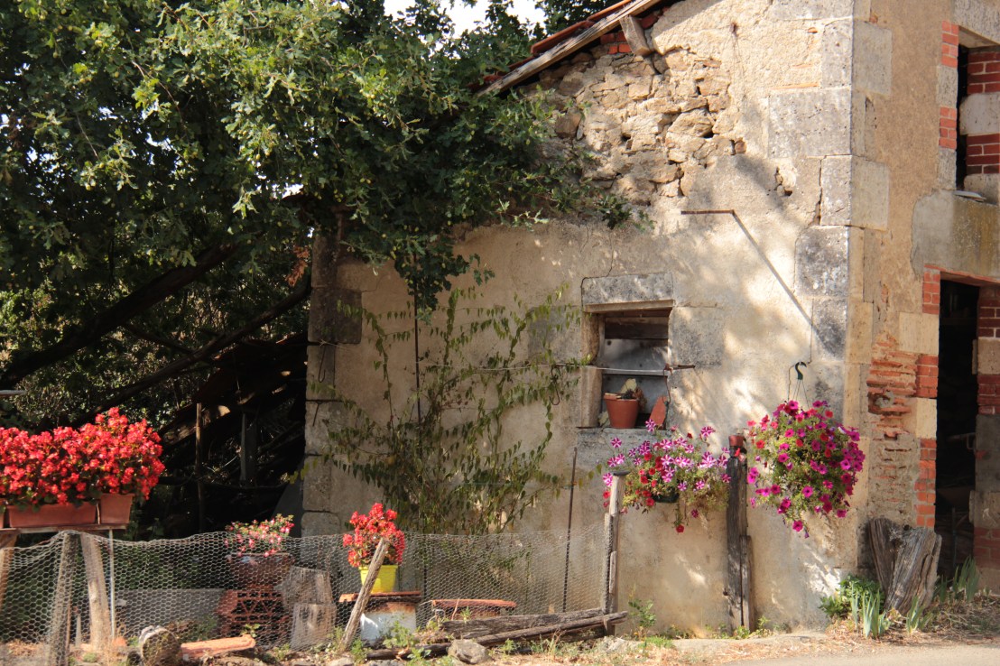 1B9D9BBA-A61A-4221-9FE5-D0F0F2399C7E