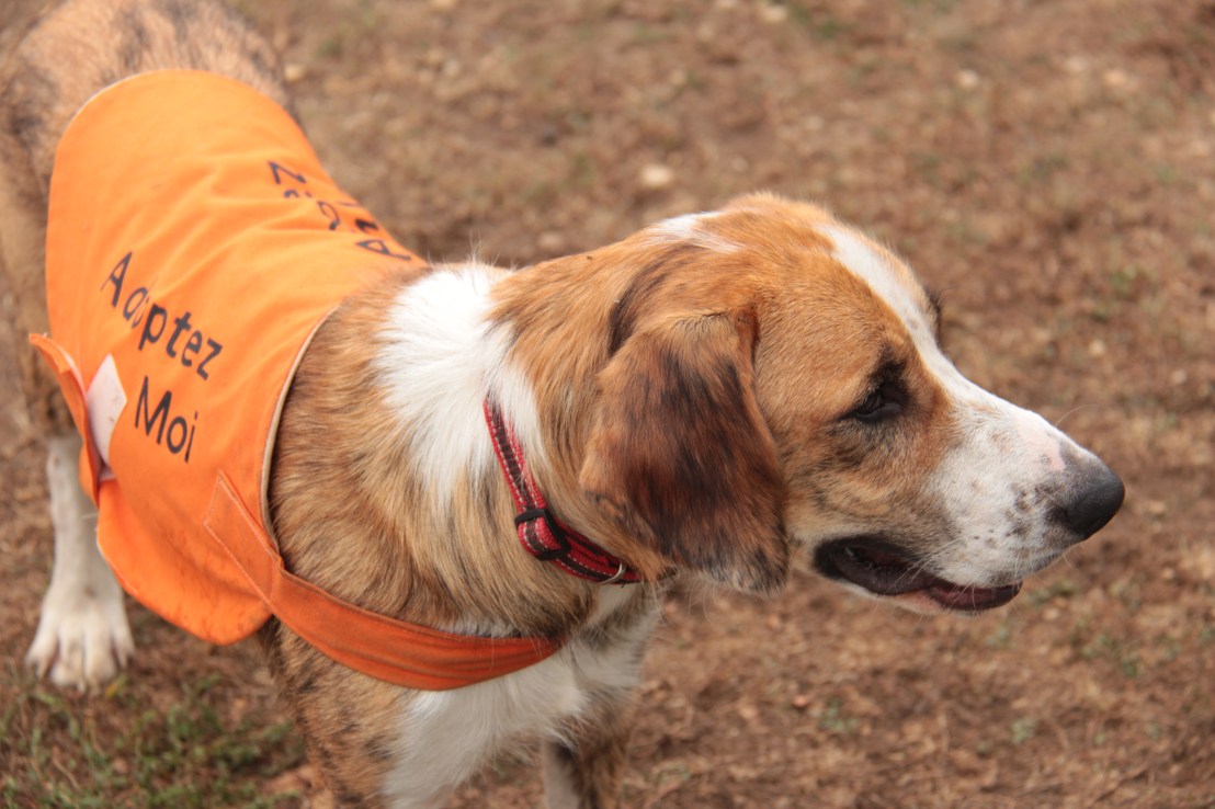 3C7D86B1-73F1-4EA9-B39C-3F7D508642C5