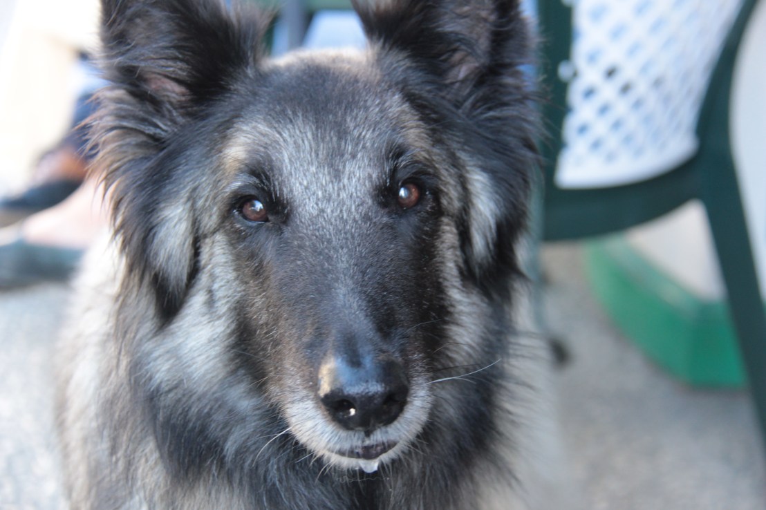 46A0E213-C5F7-494D-87D2-C012EBD4B298