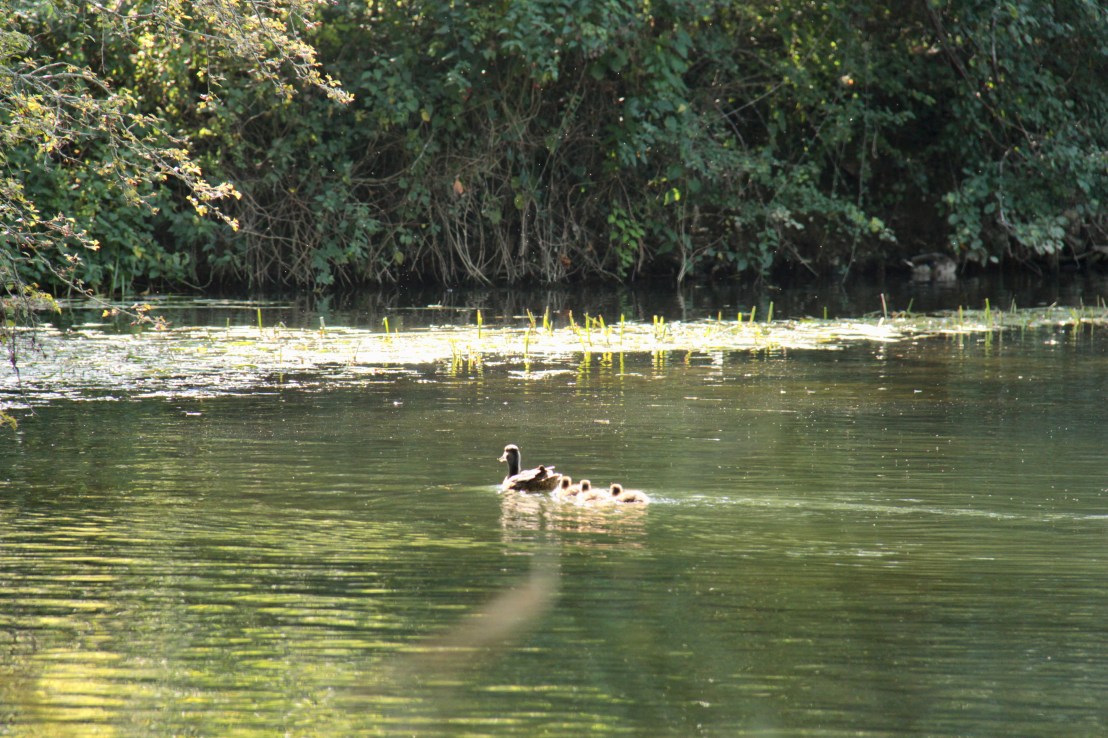 4B872C3B-08D0-4FBB-A4EA-C05725423575