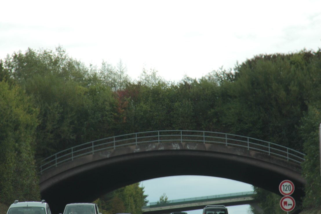 52342846-18B6-43E4-8A0D-54BDF26C51A9