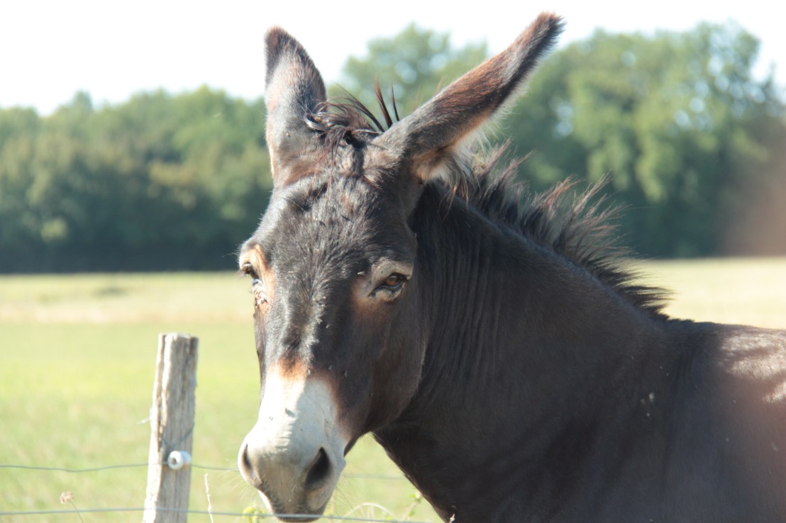 5AD9616D-3520-4B1D-BF01-976C9E65A1DD