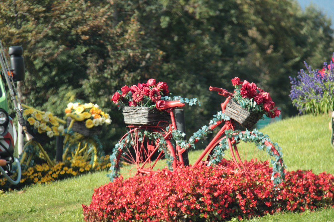 626DD13A-C67A-439D-88ED-0527DB26BE81