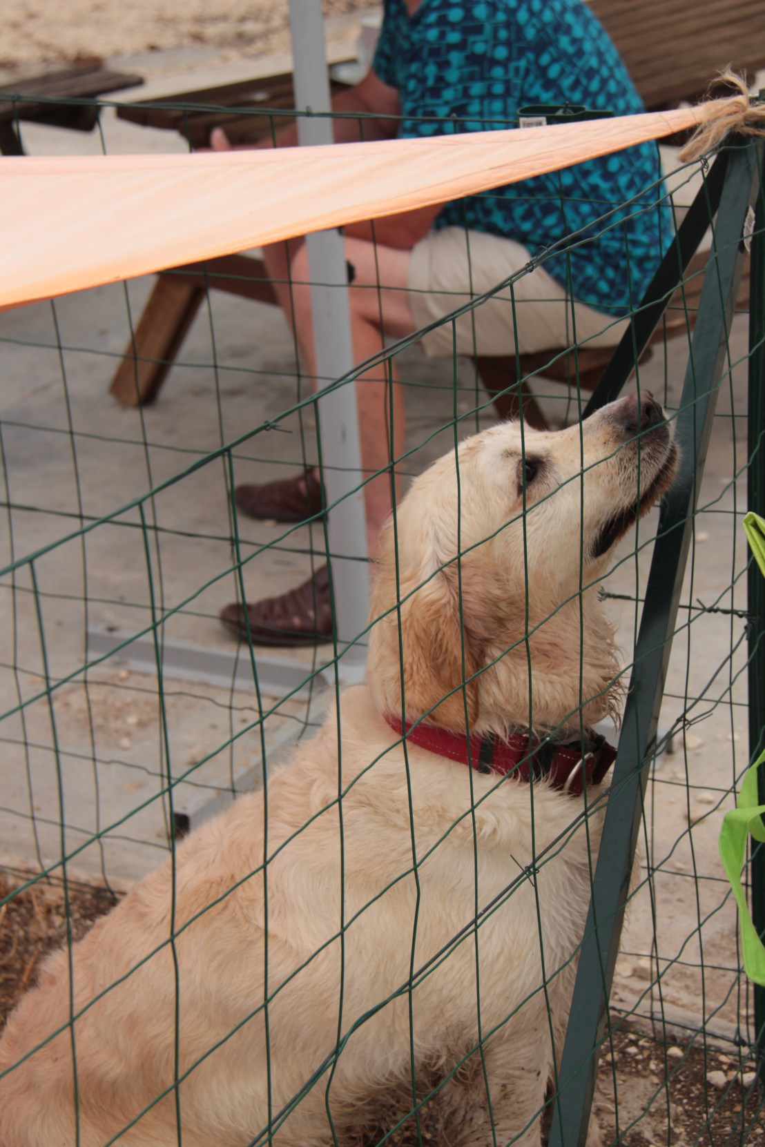 78149CAA-131C-4910-85AB-A53B571B88C5