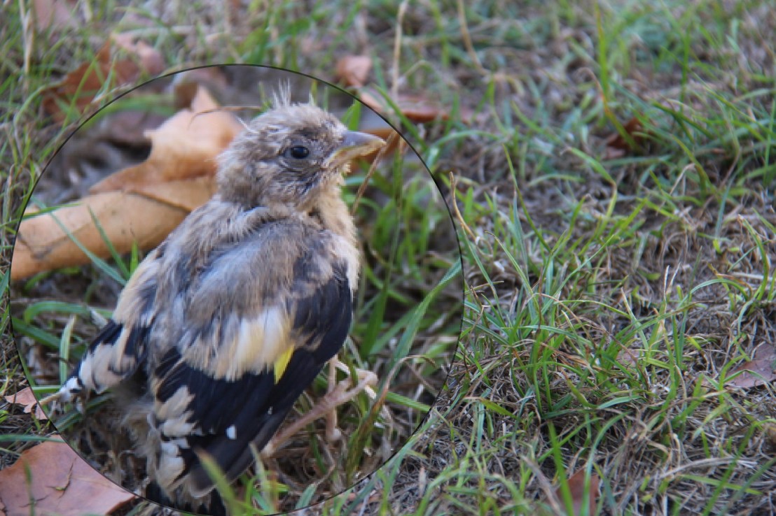 8122D16C-D9CC-4554-89E1-CE3DCF99F51F