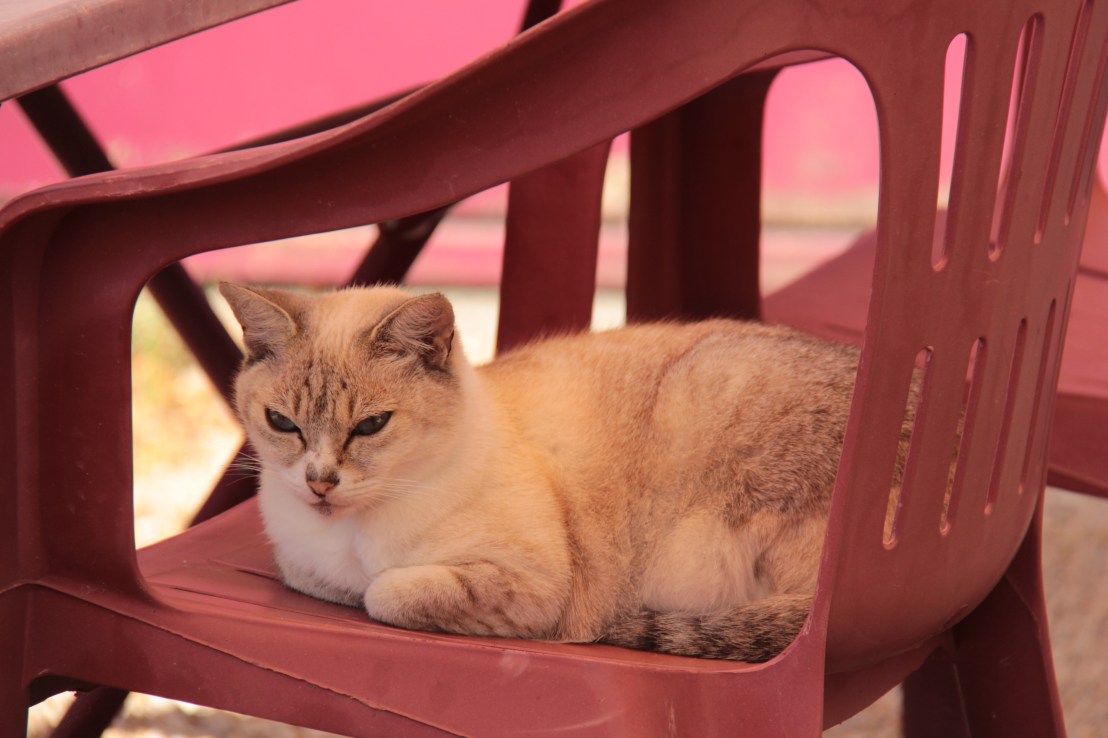 9B7D8EEE-9489-4BFF-B95D-2258D30DC995