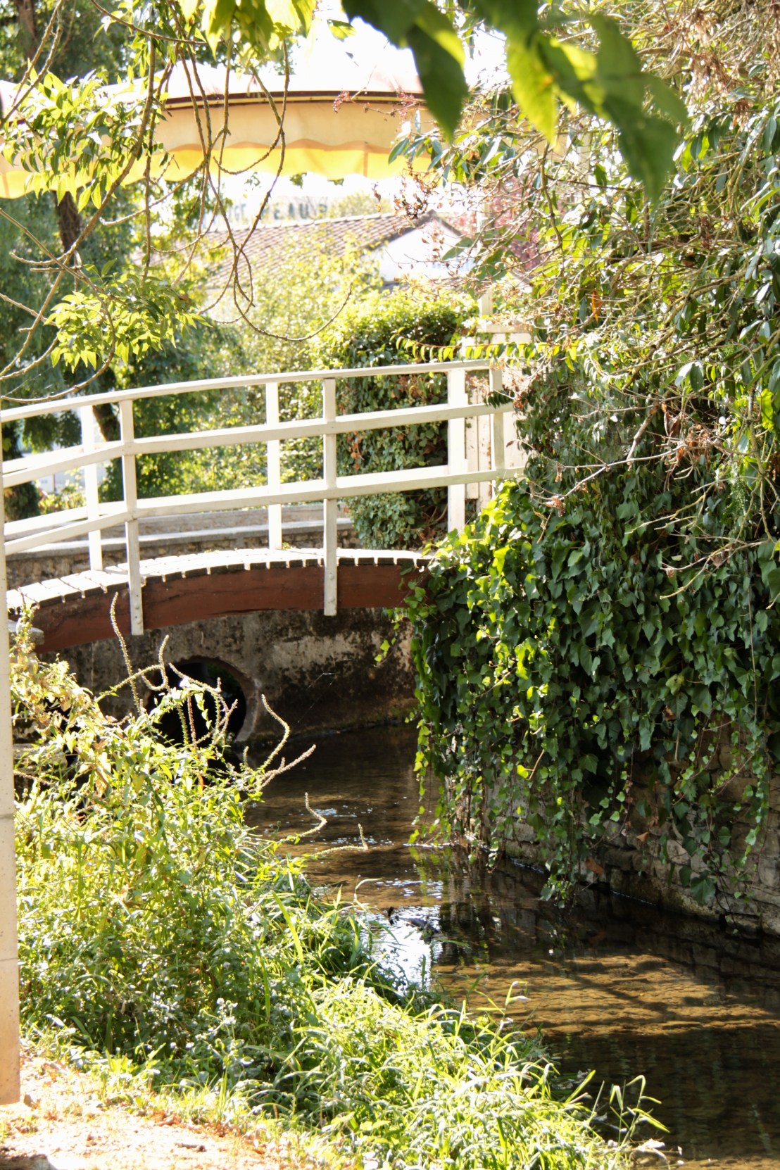 B1B365DF-CAEE-43A3-9625-3BC9598BC3B3