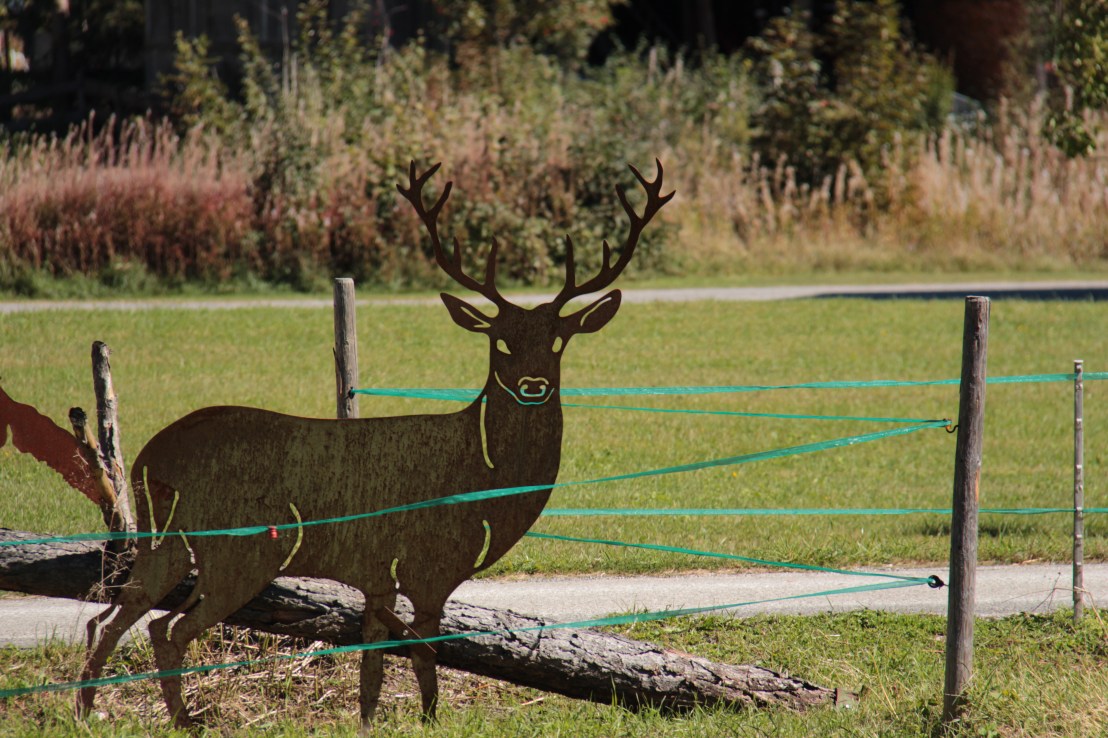 B40E9CC2-6AEA-4196-BBF9-315747AAD108