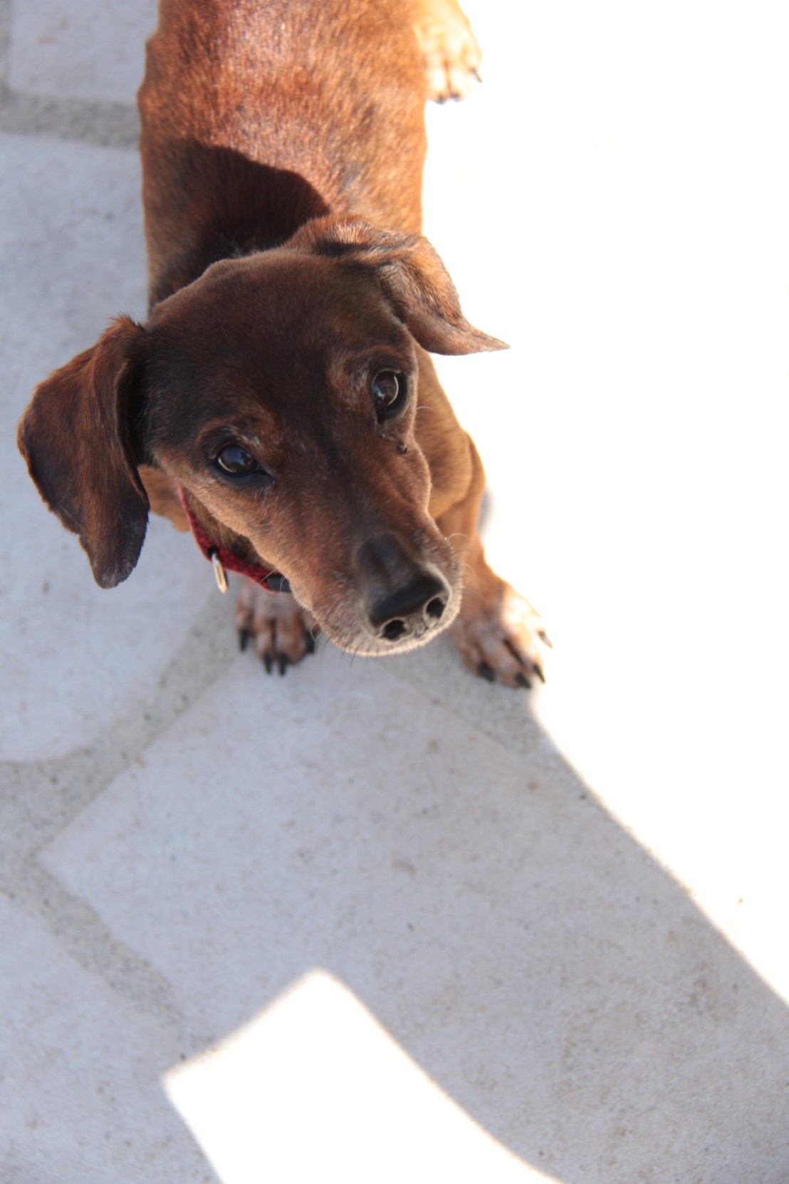 B749B721-E32A-4568-A493-E59FFD809B1F