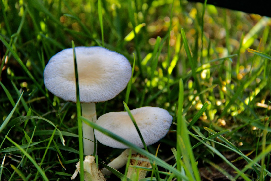 D21390ED-EAB8-4DA3-9170-0D3310C1622B