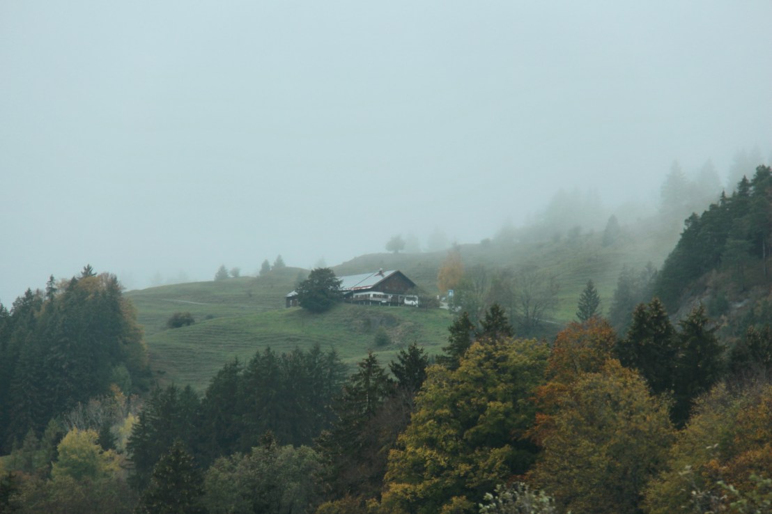 04D7ECF6-56E1-467A-BBAC-7F5F5DBD6A09