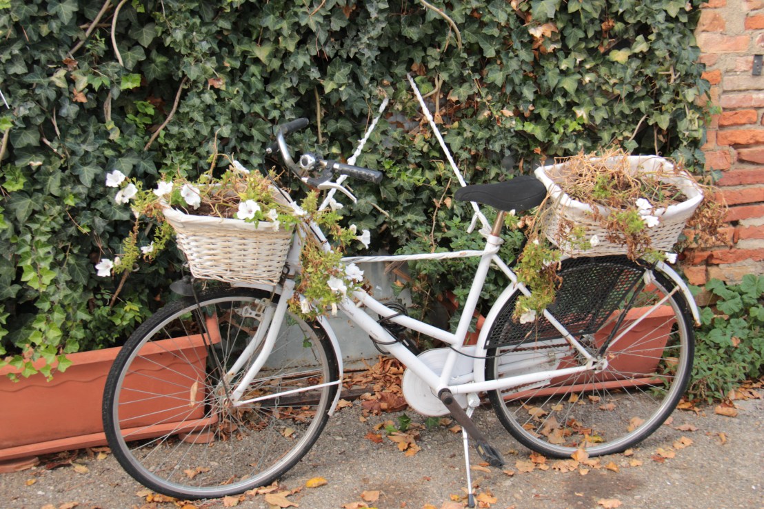 0604B6BA-70C5-42AB-9D37-7D1529A0130D