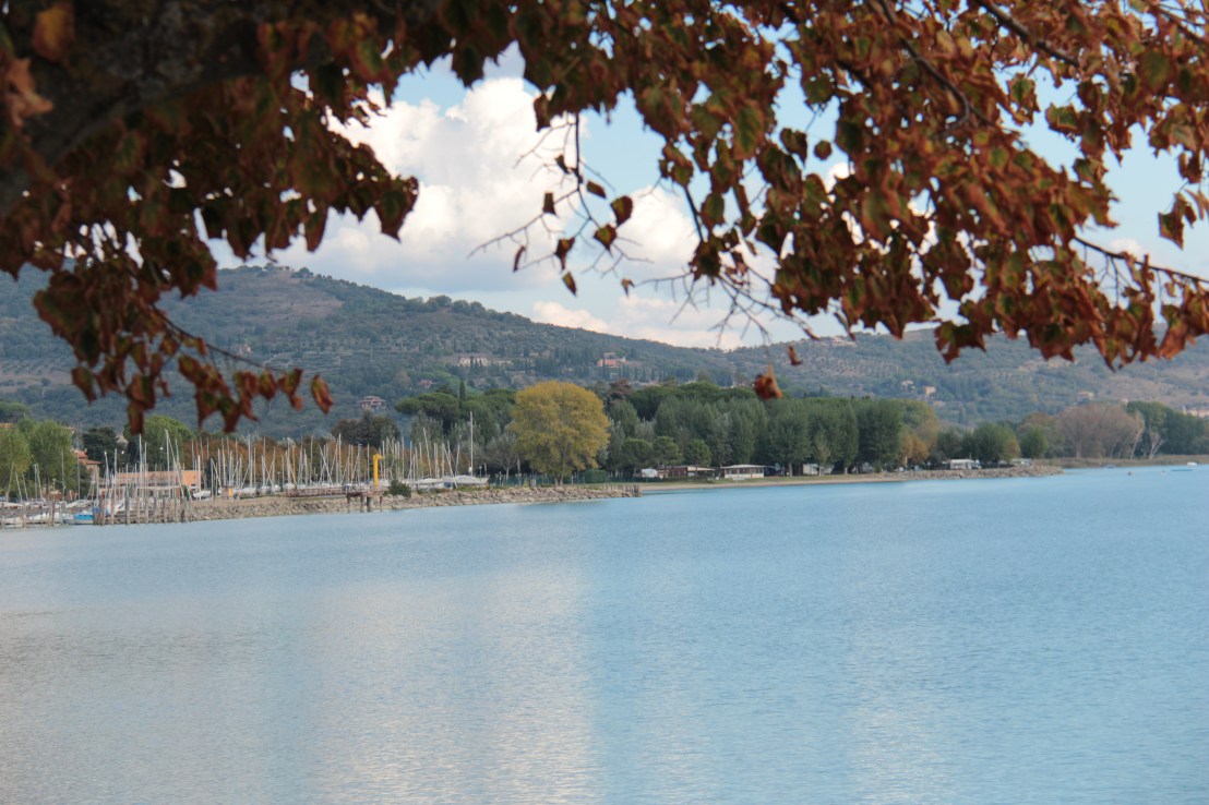 0657D563-923A-4E37-8D01-2D7684F0D186