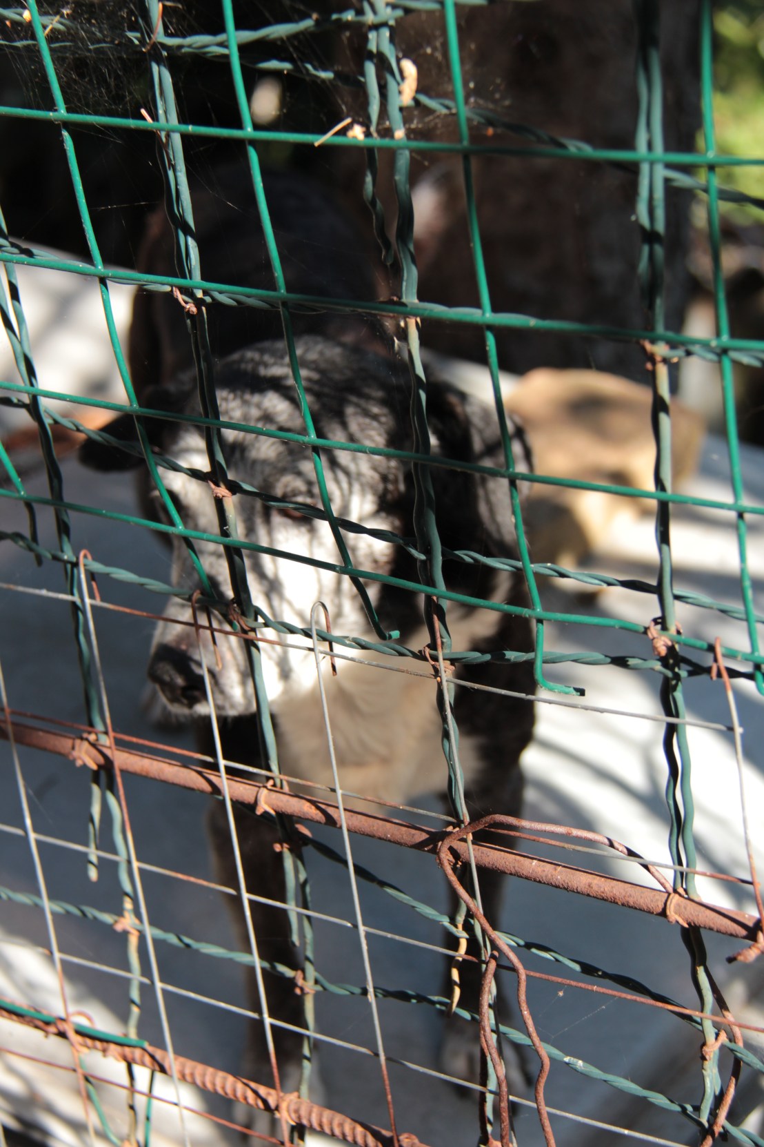 11F529A3-E994-437C-9248-553786A399A5