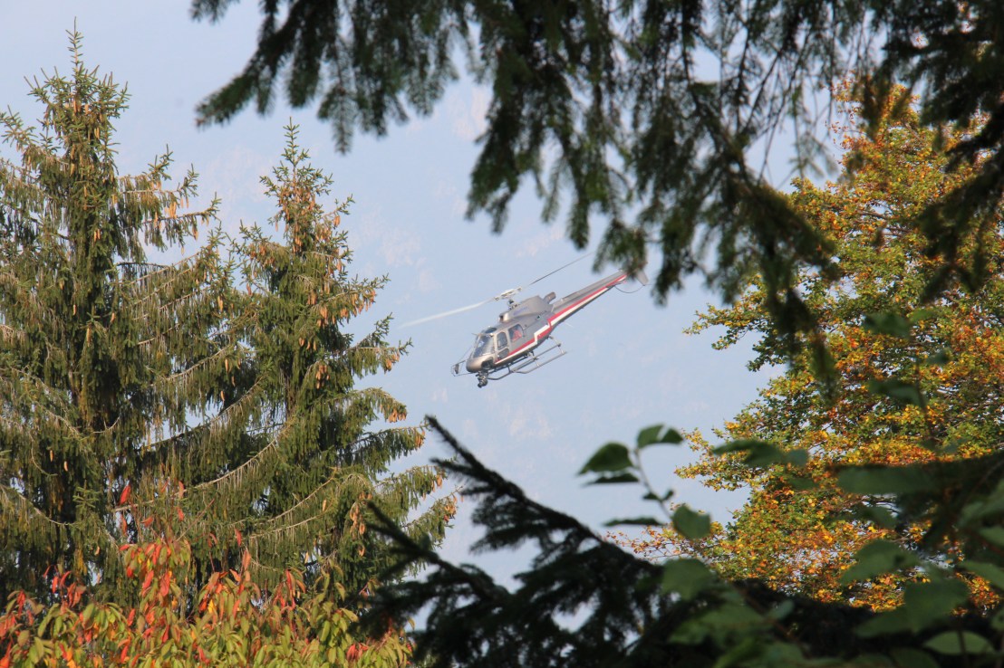 1A819646-E2EF-4B78-9D6E-50B1FEBC373A