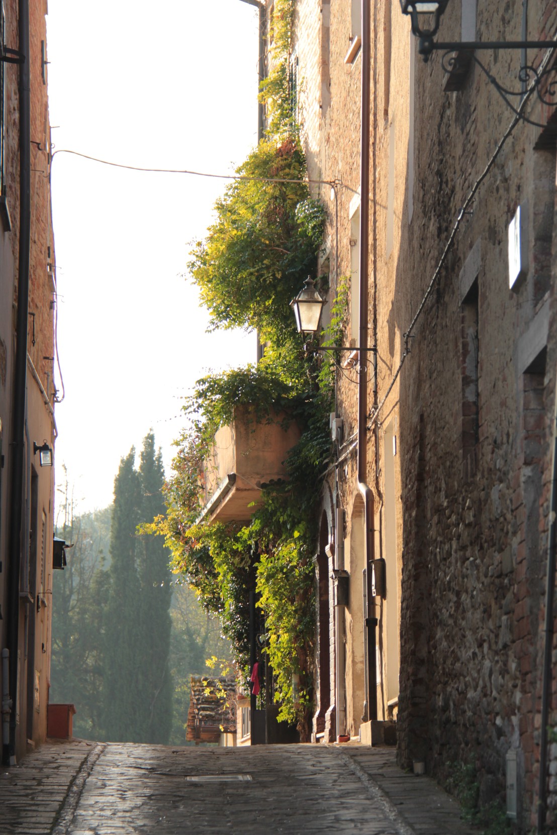 2DD00265-F9E5-40DE-9211-4D511987F112