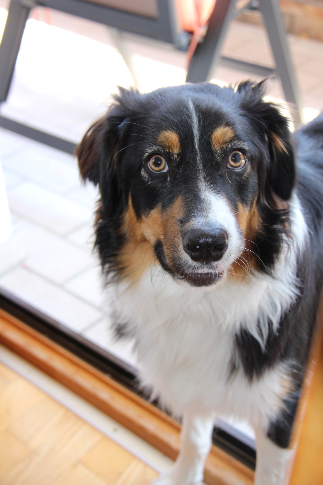 34968EBD-580E-4E5B-AAC5-FCAE0D33880F