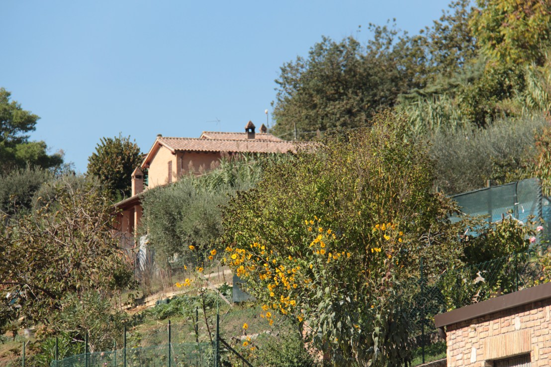 35A16B09-7504-4C92-B69F-16E24CC887D8