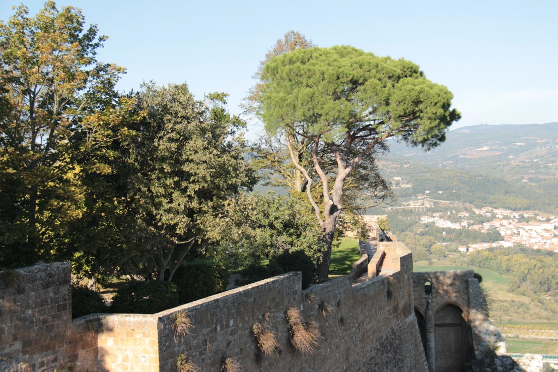 399B4061-D129-49C2-948A-64E0861F00B7