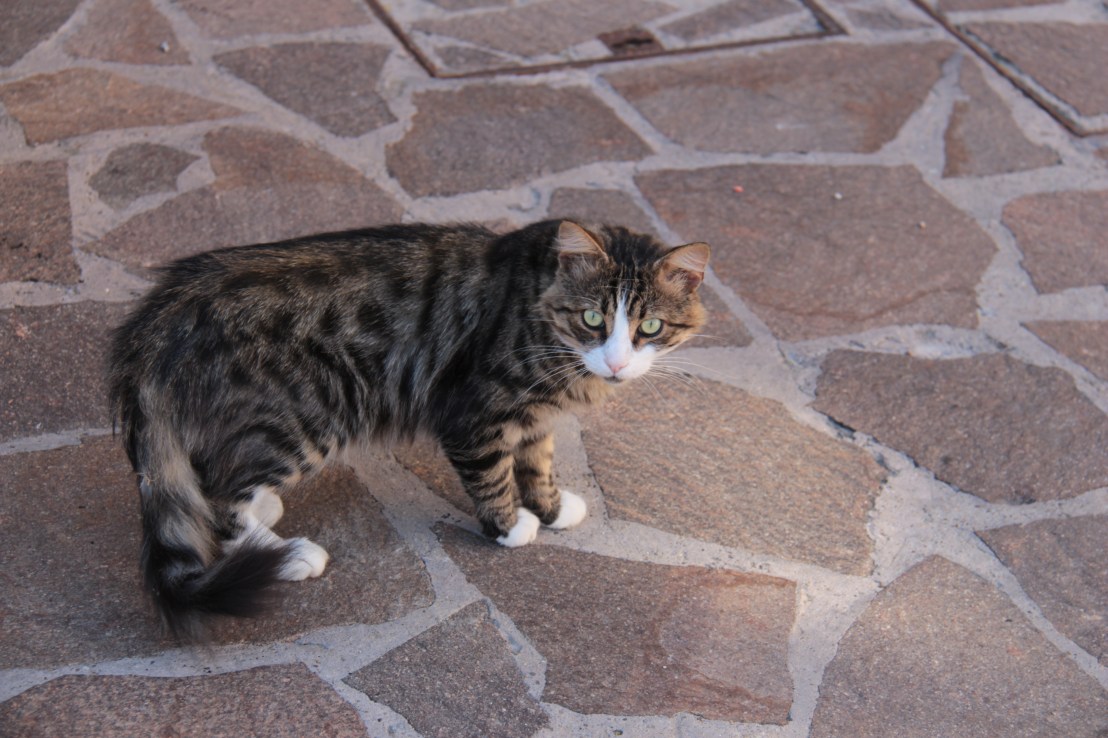 4DA95070-0083-42A4-8978-F56F2D23E5C6