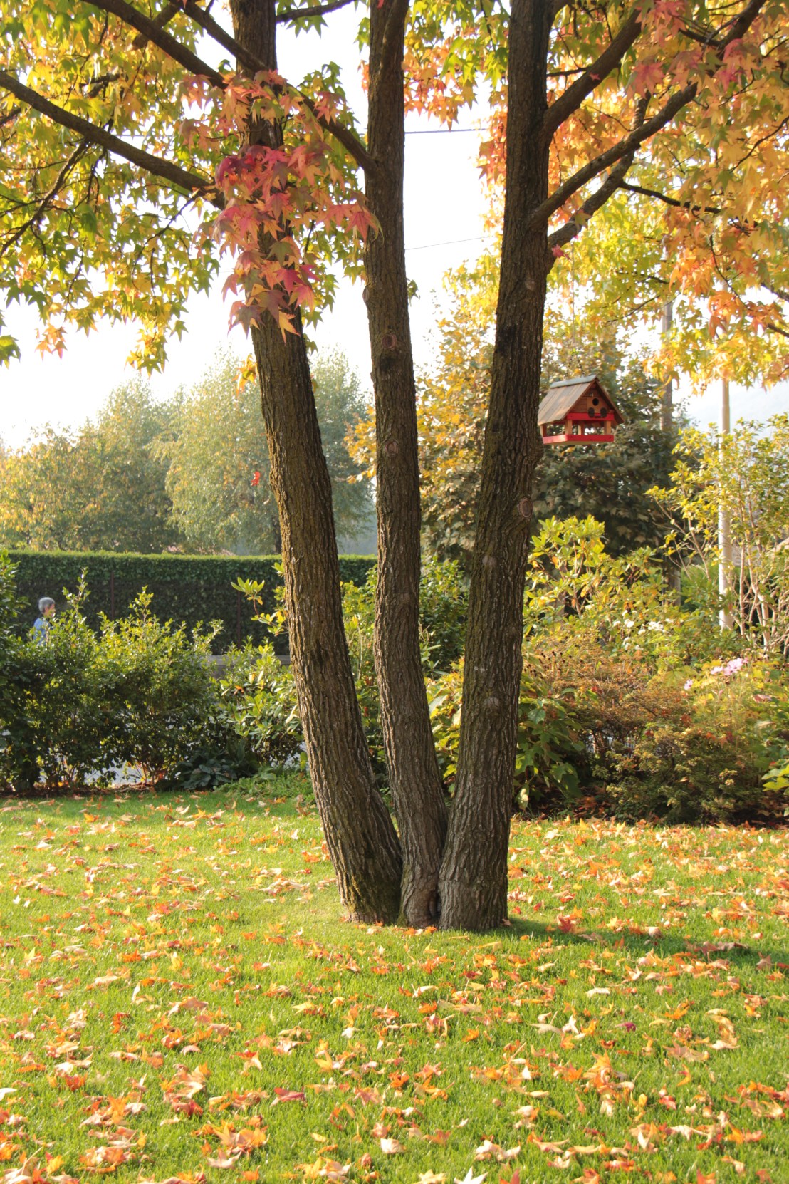 510E9FC8-6A8E-432E-AC72-1AC5F26D4678