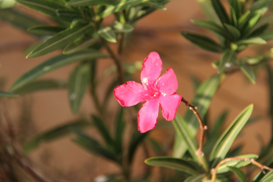 5710B100-80FC-42D9-8409-9DB57CFC9725