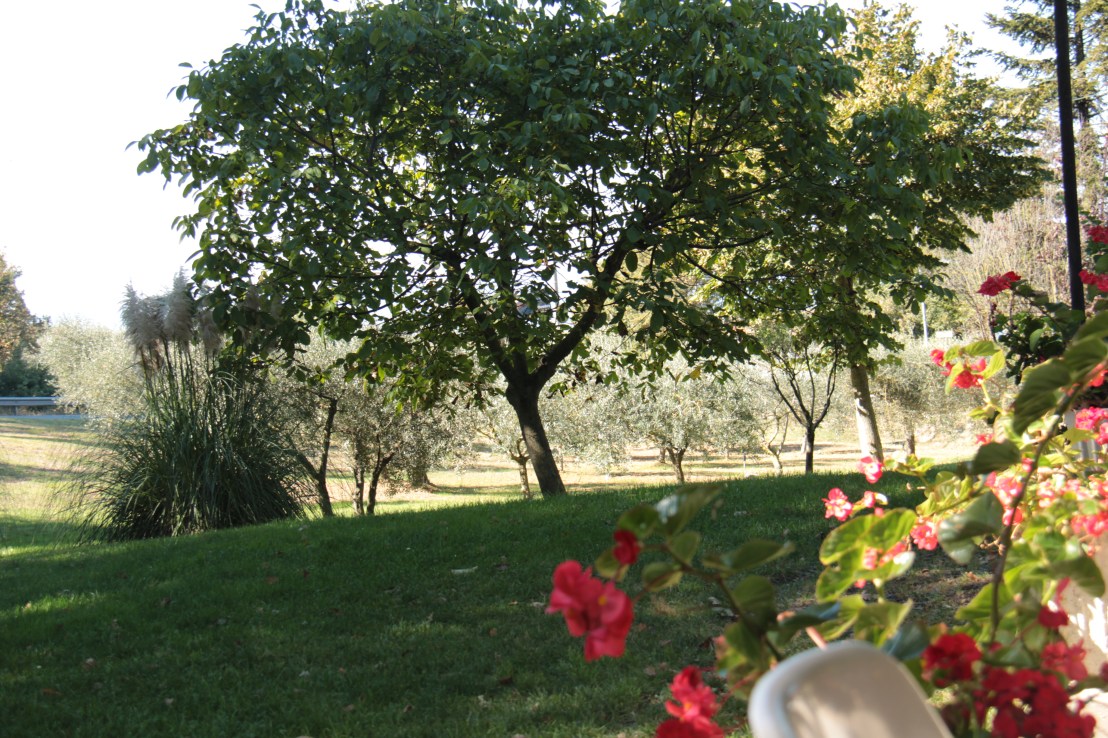 576F5FB5-65D1-4529-BE71-F5C4399A9A23