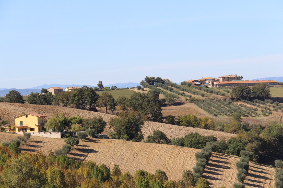 65EEF90F-C4B3-4B1B-AFC4-FDDE4834D8F6