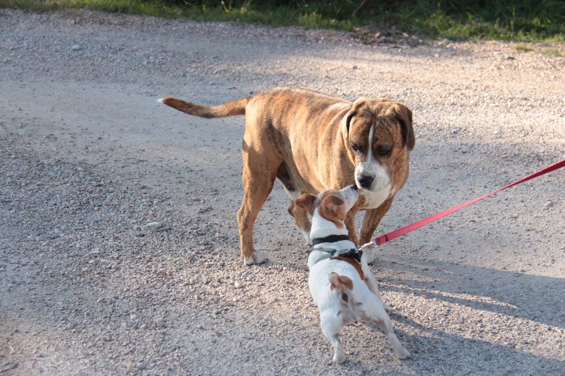 6BAA9F84-1978-4CDD-8BCD-7C0F40855CE8