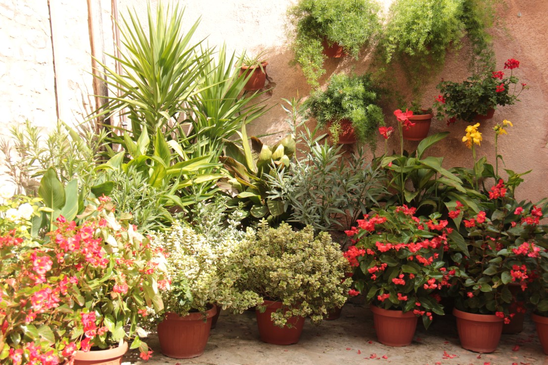 7047B585-48FC-4EB2-ABB7-E450A7666ACE